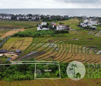303 Sqm, Land for sale