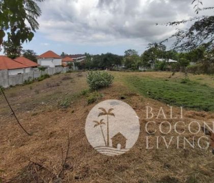 4300 Sqm, Land for rent
