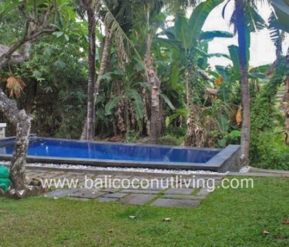 Villa Dewi 
