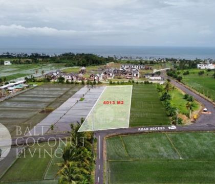 Land For Sale Leasehold 4013 Sqm 