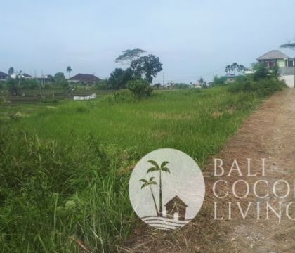 Land for sale 5 are