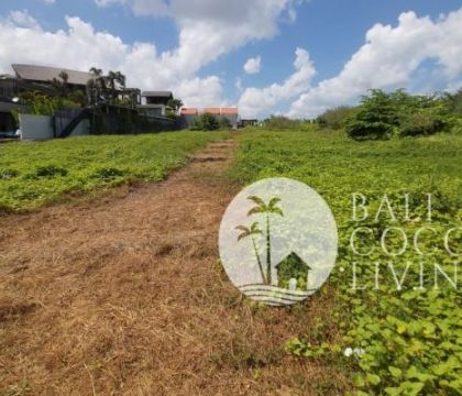 20 are Land for lease