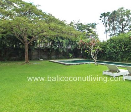 The Jungle Green Villa