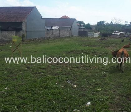 Land for Lease Umalas 18,75 sqm