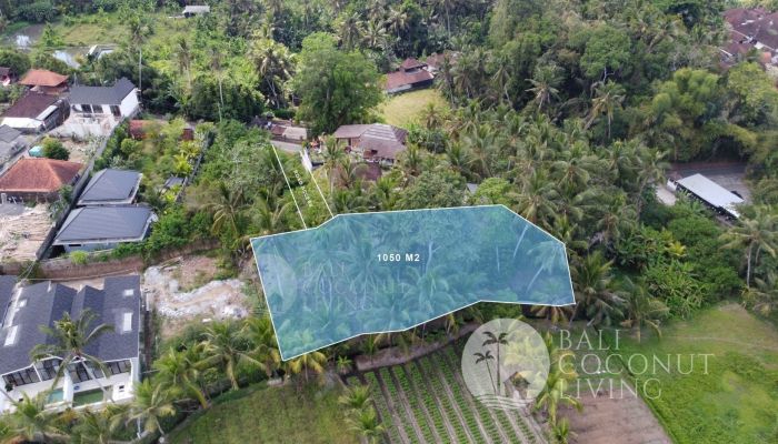 10,5 ARE LAND FOR SALE IN ABIANSEMAL- FREEHOLD Slider