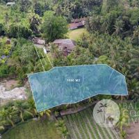 10,5 ARE LAND FOR SALE IN ABIANSEMAL- FREEHOLD Gallery