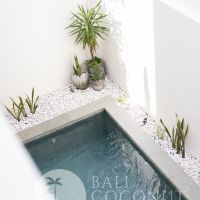 Villa Sona Canggu 7  Gallery
