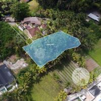 10,5 ARE LAND FOR SALE IN ABIANSEMAL- FREEHOLD Gallery